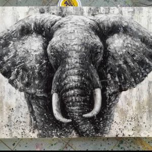 Black and White Elephant